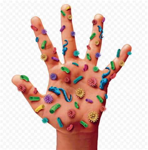 Prevention Infection Hand Germs Bacteria | Citypng