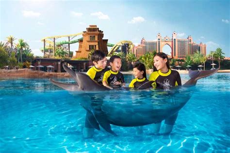 Dubai: Dolphin Encounter at Atlantis Waterpark | GetYourGuide