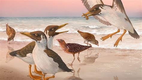 How a 67-Million-Year-Old Fossil Turned the Theory of Bird Evolution ...