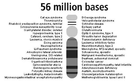 Chromosome 22 and list of diseases mapped to this chromosome ...