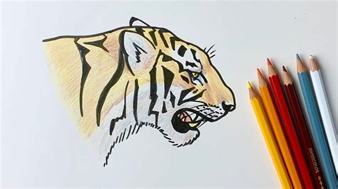 Roaring Tiger Drawing