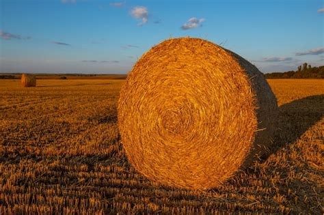 Premium Photo | Round bales on the field view from a drone