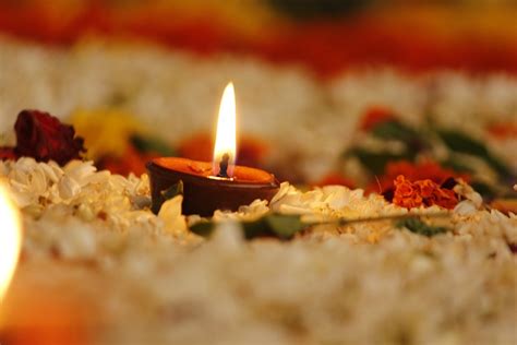 Deusi Bhailo and Tihar Songs - Enjoy the Festival of Lights ...