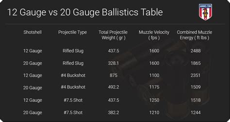 12 Gauge vs 20 Gauge: The Shotgun Shootout – The Burning Platform