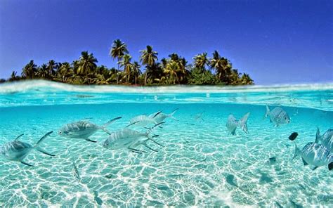 Tuvalu – A Polynesian Island Nation | The Traveller