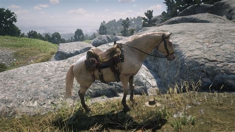 Hamish Sinclair and his horse Buell. : reddeadredemption