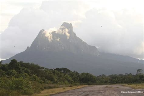 Pico da Neblina, o mais alto do Brasil, reabre para turistas