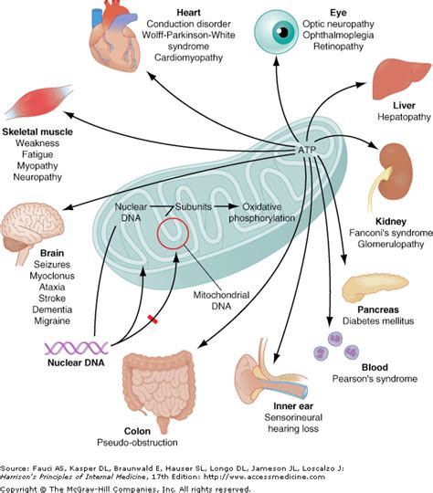 Unicellular Organisms