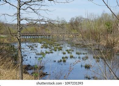 57 Alewife brook reservation Images, Stock Photos & Vectors | Shutterstock