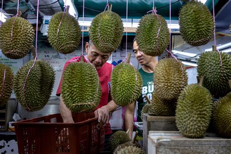 Decades ago, he stole a tree branch. Now he is the Durian King - Los ...