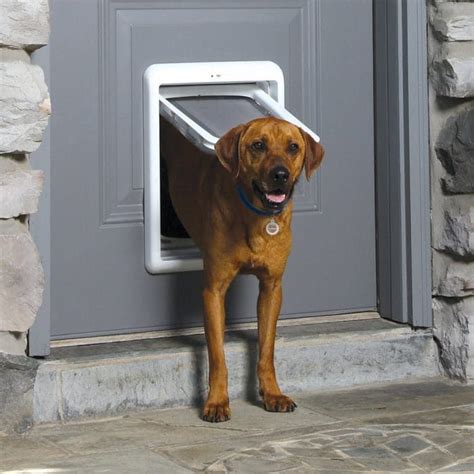 7 Smart Dog Products You Need - 2019 | Electric dog door, Dog door, Pet ...