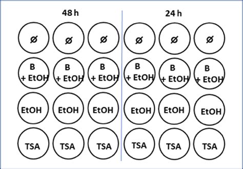 TSA incubation assays. Symbols: ø = unstimulated control, EtOH ...