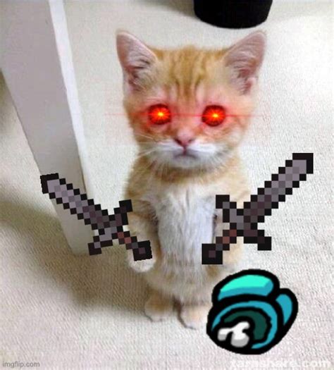 Evil Cat - Imgflip