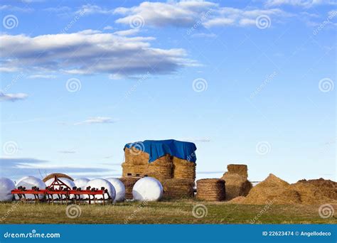 Storage of Fodder for Cattle Stock Photo - Image of fodder, feed: 22623474