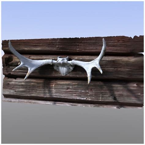 3D model Moose horn - TurboSquid 2029214