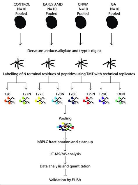 Study design for comparative proteomics based mass spectrometry for ...