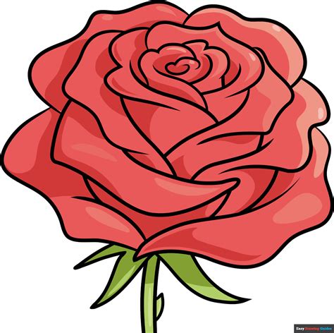 How to Draw a Realistic Rose Flower - Really Cute Drawing Tutorial