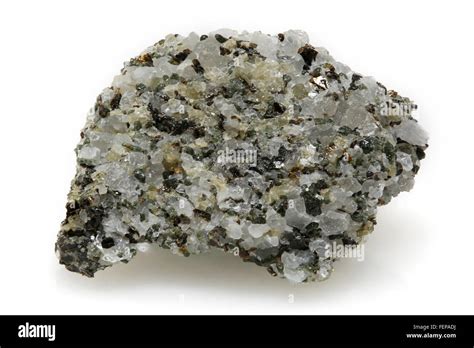 Tonalite, Igneous, Plutonic, Intrusive Rock, Ontario, Canada Stock ...