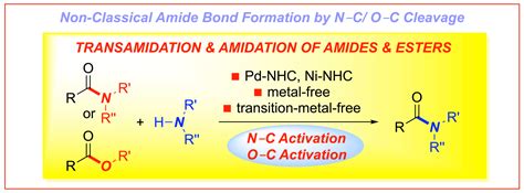 Non-classical amide bond formation by amide ester activation | SZOSTAK ...