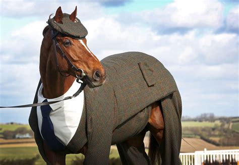 Horse Gets Tailored Three-Piece Suit, Looks Absolutely Dashing | Bored ...