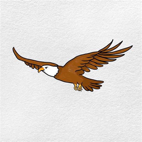 How to Draw a Eagle Flying - HelloArtsy