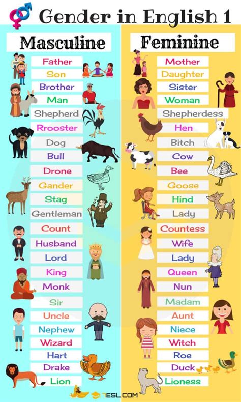 Gender of Nouns in English • 7ESL