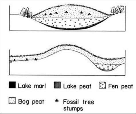 1. Schematic of raised bog (top) and blanket bog (bottom) formation ...