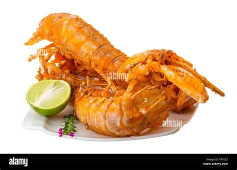 Crawdad Cut Out Stock Images & Pictures - Alamy