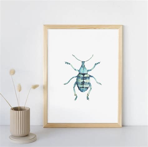 Insect Watercolor, Insects Illustration Art, Insect , Original ...