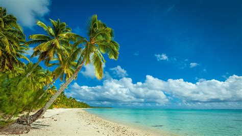 nature, Landscape, Beach, Sea, Island, Palm Trees, Tropical, Clouds ...