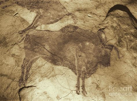 Altamira Cave Paintings Photograph by Photo Researchers | Fine Art America