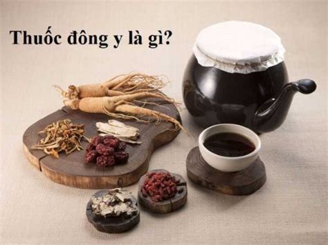 Thuốc Đông Y Là Gì? Công Dụng, Cách Dùng Và Bài Thuốc Hiệu Quả