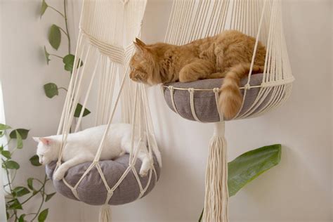 What Kitty Wouldn't Love One Of These Hanging Macrame Cat Hammocks?