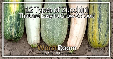 12 Types of Zucchini That are Easy to Grow & Cook - Worst Room