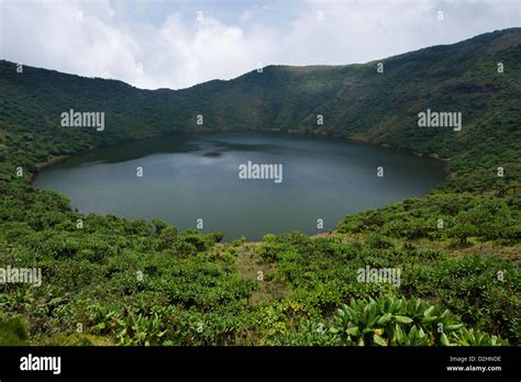 Bisoke crater lake on Mount Bisoke, Volcanoes National Park, Rwanda ...