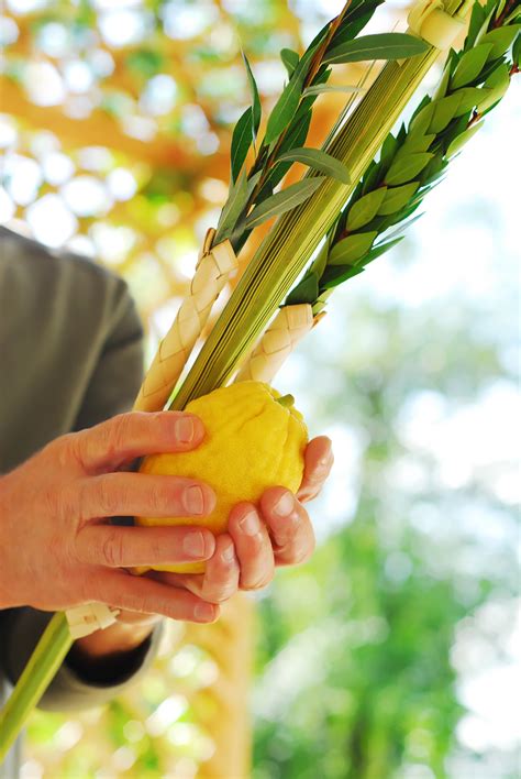 Sukkot Kids’ Activities | JewishBoston