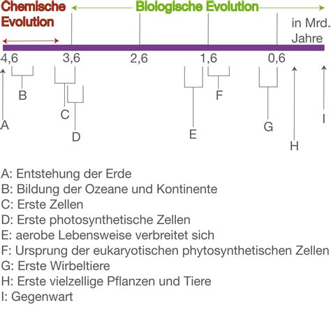 Chemische Evolution | SchulLV