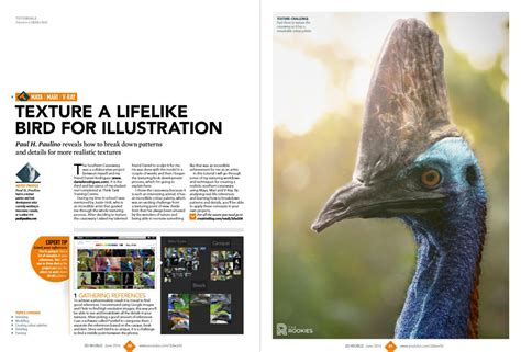 The Southern Cassowary on Behance