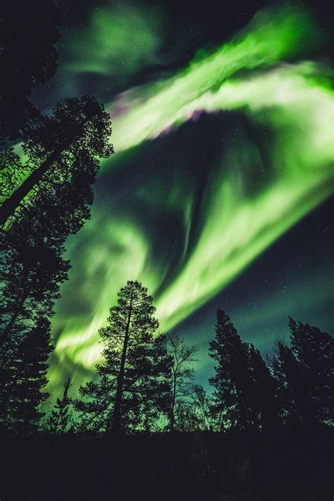 When and where to see the Aurora Borealis in Finland?