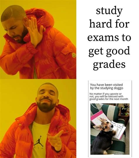 Good luck with your exams - Meme by TaylorP :) Memedroid