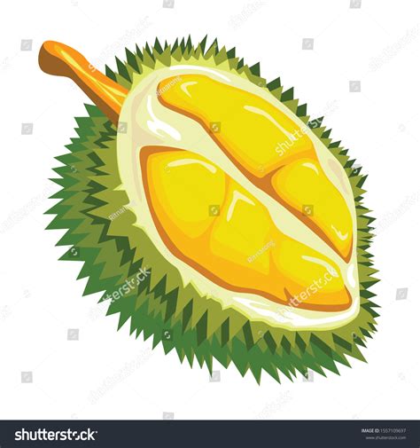 Durian Cartoon