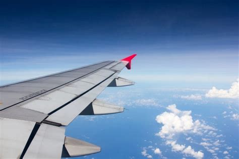 Wing Flaps: How Do They Function and What Is Their Purpose?