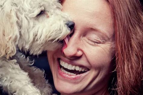 Why you should NOT let your dog lick your face - and it's not just ...