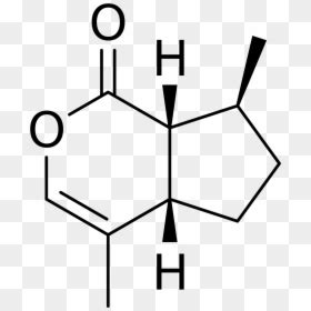 Hypoxanthine Structure, HD Png Download - vhv