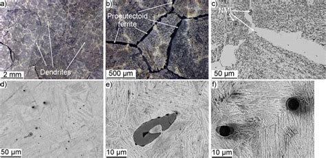 (a-c) Ferritic-pearlitic microstructure with pro-eutectoid ferrite and ...