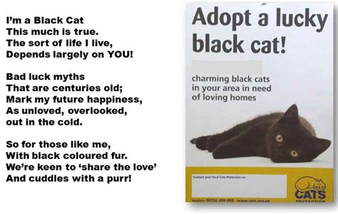 The Black Cat Poem