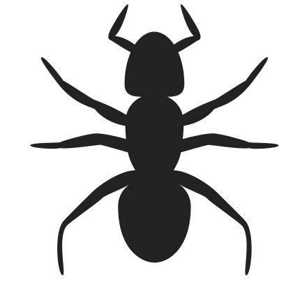 Black Ant Clip Art Image - ClipSafari