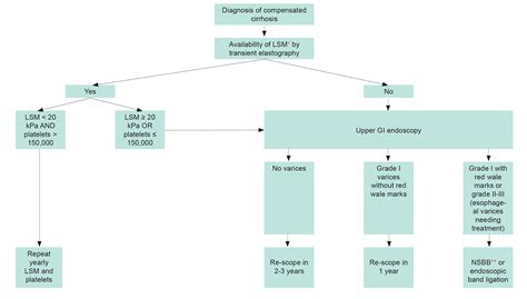 Liver Cirrhosis: Classification, Surveillance — EACS Guidelines