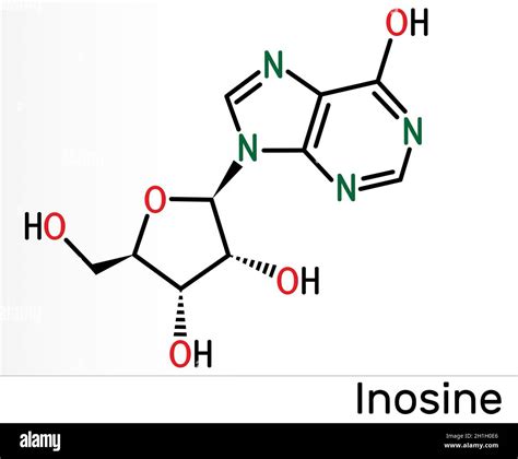 Hypoxanthine hi-res stock photography and images - Alamy