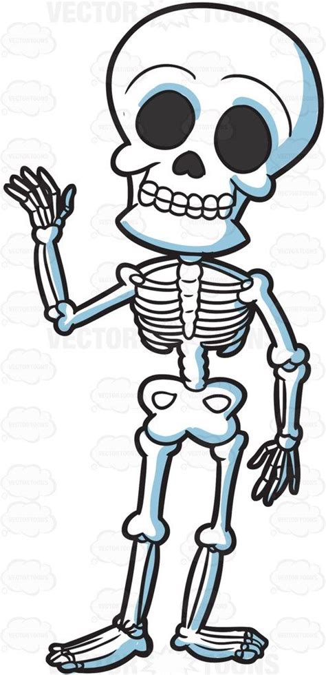 A friendly skeleton • Vector Graphics • VectorToons.com | Skeleton ...